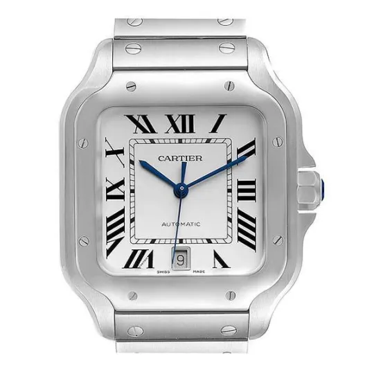 SANTOS DE CARTIER WATCHES WSSA0018-39.8MM