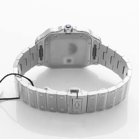 SANTOS DE CARTIER WATCHES WSSA0018-39.8MM
