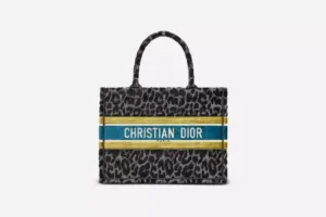 DIOR BOOK TOTE Small Bag