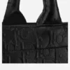 Dior Book Bag