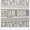 DIOR BOOK TOTE Small Bag