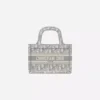 Dior Book Mini Bag