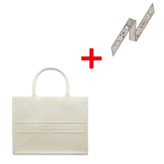 DIOR BOOK TOTE Small Bag Dior Oblique Calfskin