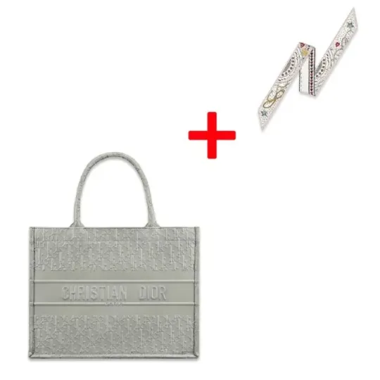DIOR BOOK TOTE Small Bag Dior Oblique Calfskin
